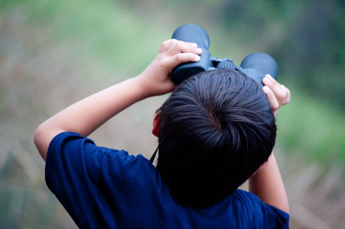Rearview of child's head while peering through binoculars