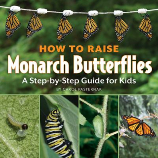 How to Raise Monarch Butterflies How to Raise Monarch Butterflies