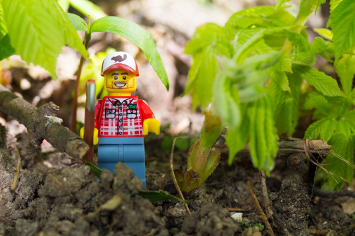 Farmer LEGO person in the fields