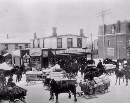 A black and white photograph of a busy seen of horse drawn sleighs carrying goods to and from a shop in winter