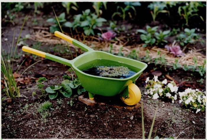 Miniature wheelbarrow