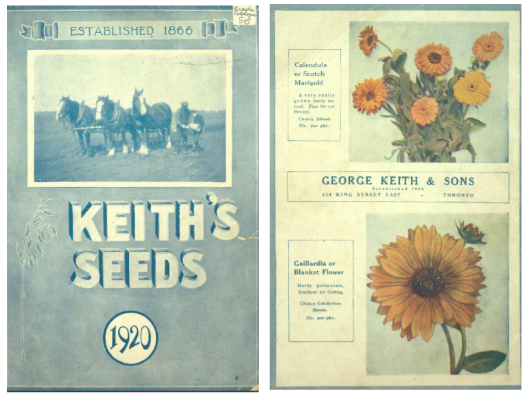 Cover showing photo of horses and two individuals and a back cover sowing marigold and blanket flower