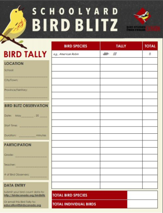 Schoolyard Bird Blitz tally sheet