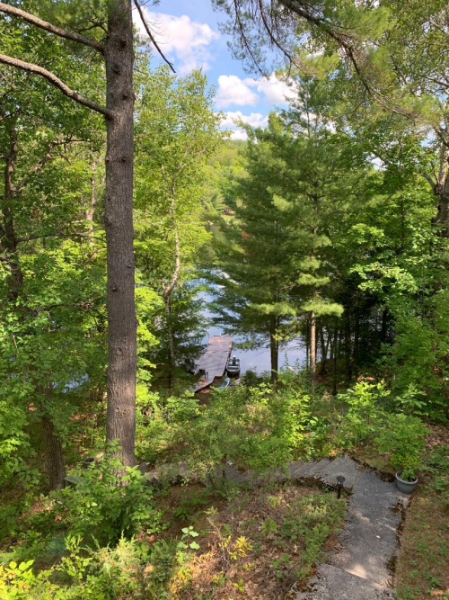 Cottage view at Stoney Lake