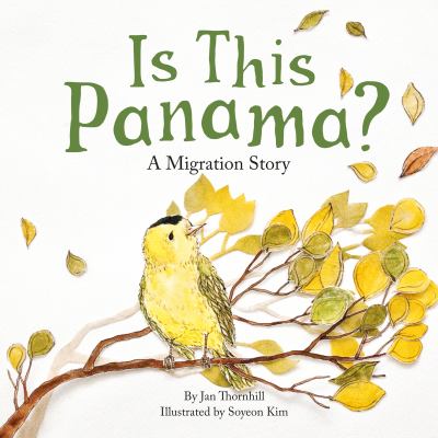 Is This Panama Is This Panama