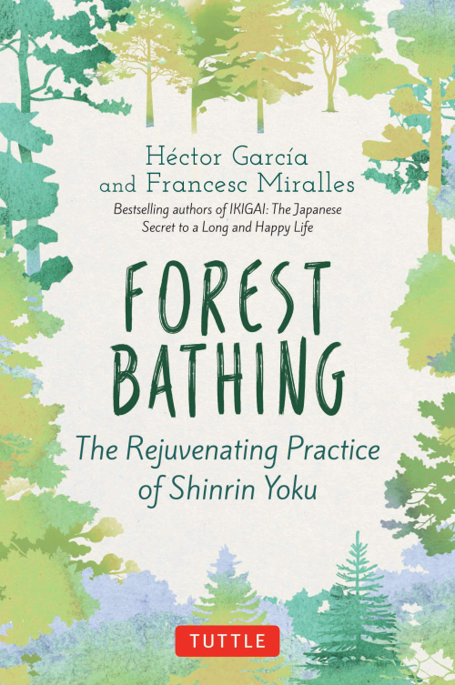 Forest bathing - the rejuvenating practice of shinrin yoku