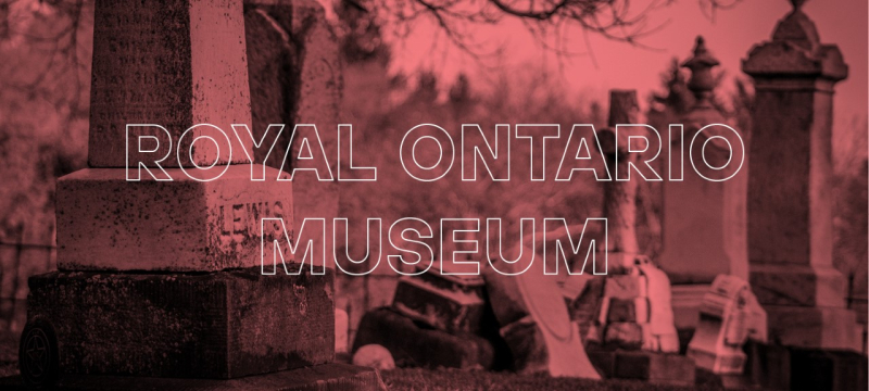 The Royal Ontario Museum ROM The Royal Ontario Museum ROM