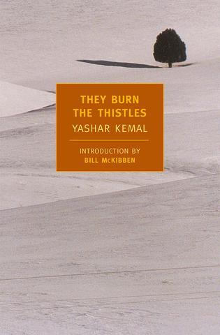 They-Burn-the-Thistles_large They-Burn-the-Thistles_large