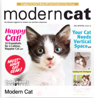 Modern Cat