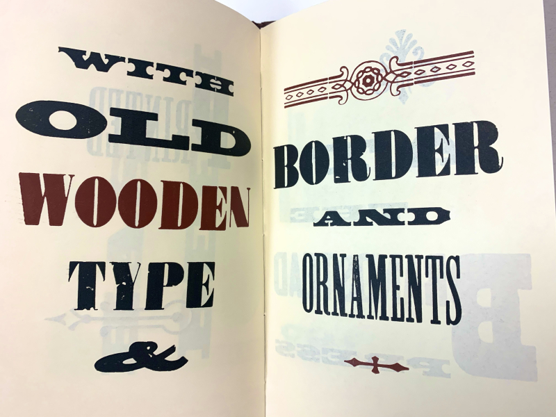 Inner page of "This Book" by Brandstead Press displaying various fonts