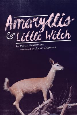 Amaryllis and little witch