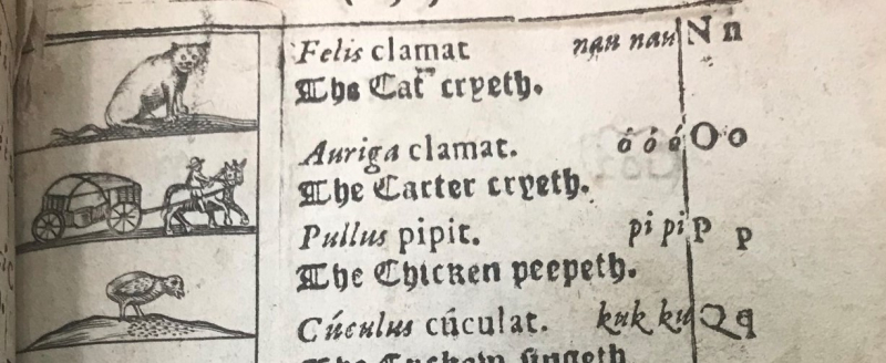 Page from Orbis Sensualium Pictus with English text reading "The Cat cryeth," "The Carter cryeth" and "The Chicken peepeth."