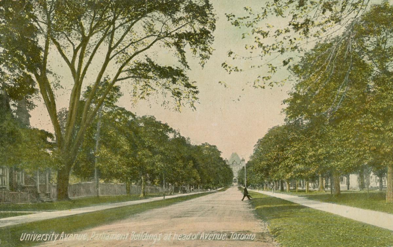 Street view of University Avenue looking north.