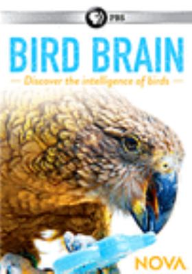 Cover of Bird Brain DVD Cover of Bird Brain DVD
