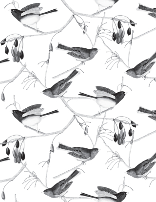 Repeating design of two different small birds on thin branches