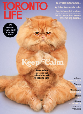 Flipster - Toronto Life