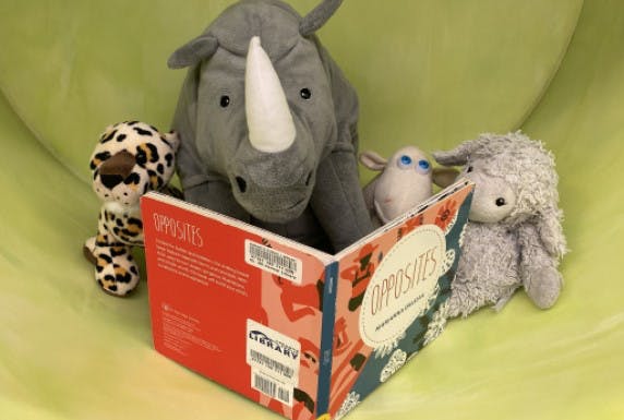Stuffies reading