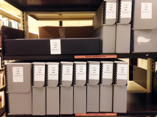 Archival boxes on shelves with labels reading Vuong