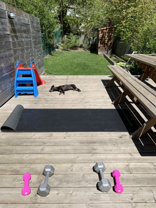 Weightlifting Buddy (sort of)