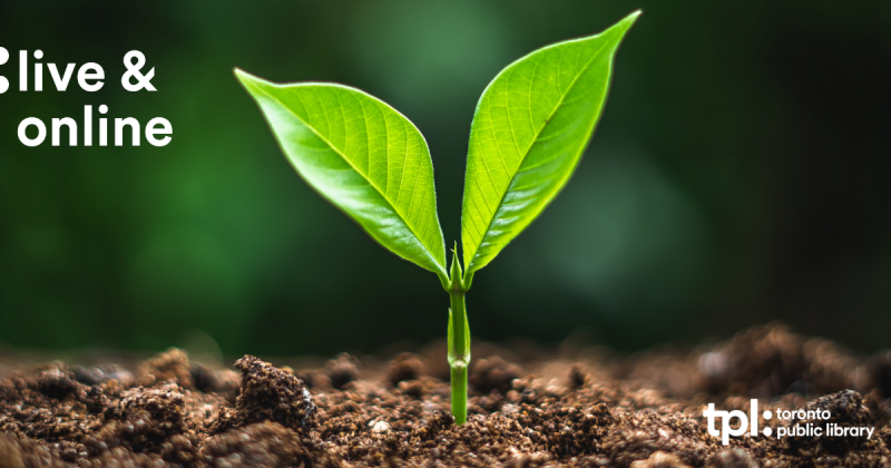 Our Fragile Planet Live & Online cover of a bright green seedling sprouting from soil. Our Fragile Planet Live & Online cover of a bright green seedling sprouting from soil.