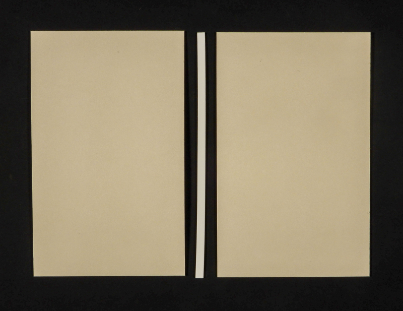 Two flat rectangles on either side of narrow thin strip