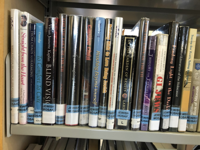 A row of books on the shelf at the library.