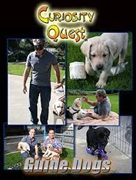 Curiosity Quest: Guide Dogs Curiosity Quest: Guide Dogs