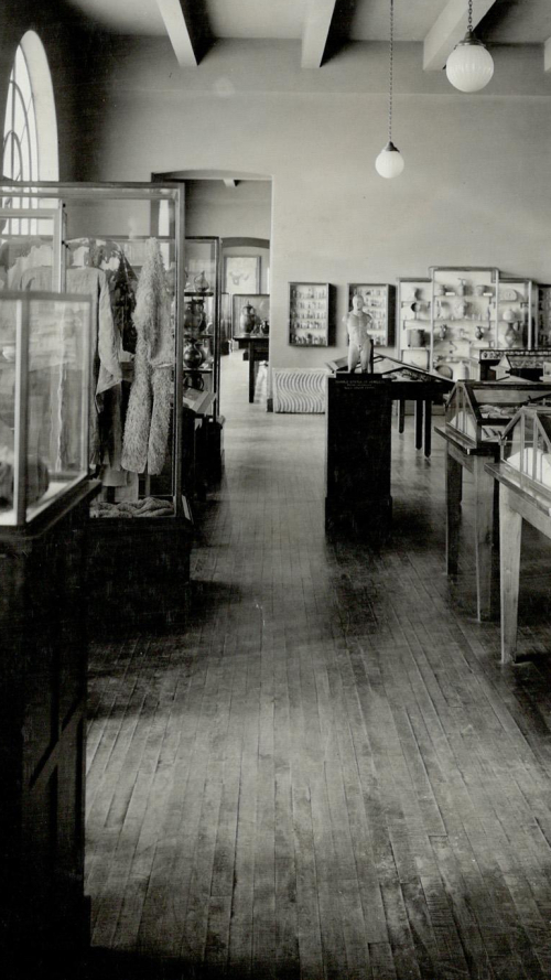 Vintage photo of old museum with cabinets full of artifacts Vintage photo of old museum with cabinets full of artifacts