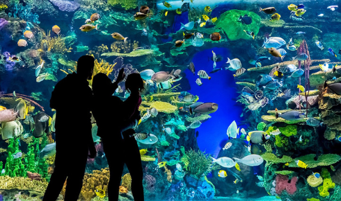 Ripley's Aquarium of Canada_fish tank - reading list Ripley's Aquarium of Canada_fish tank - reading list