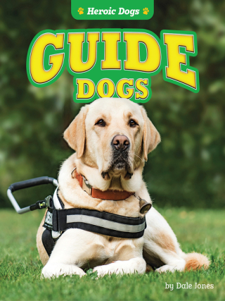 Guide Dogs Guide Dogs