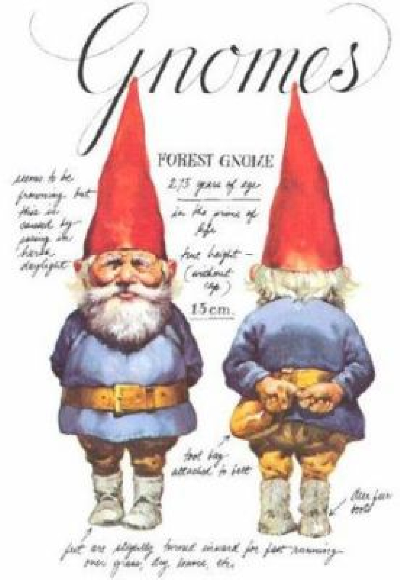 Book cover of Gnomes