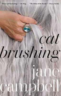 Cat brushing