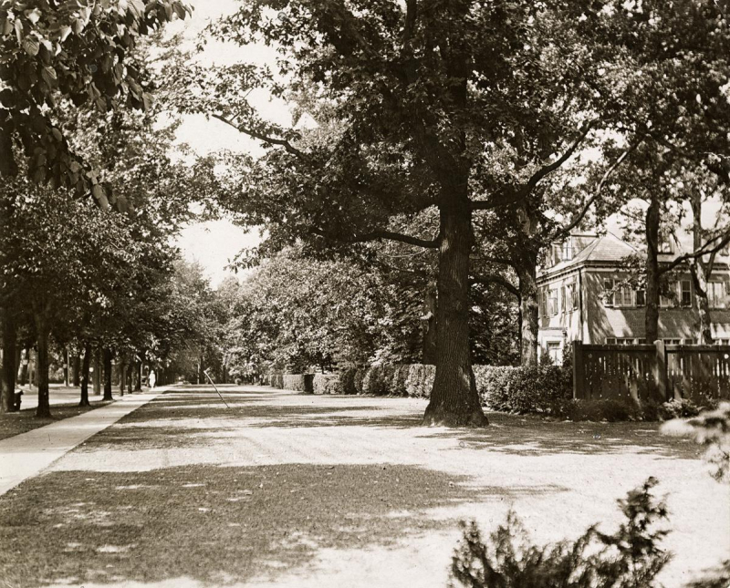 Vintage photo of tree lined street and a two storey building tucked in the trees