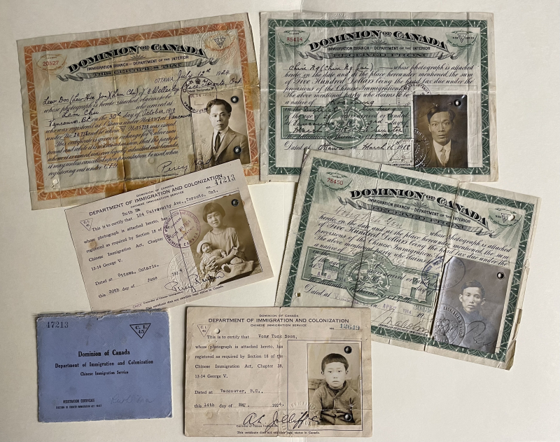 Five government IDs which are very worn are arranged on a table