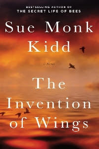 Invention of wings300