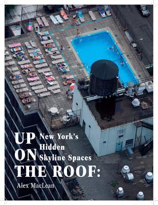 Up on the Roof New York's Hidden Skyline Spaces