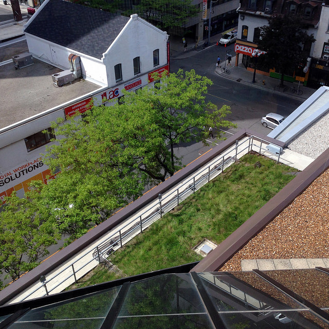 Green Roof Toronto Reference Library looking down to Yonge and Asquith from Flickr by B. Cehan