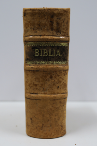 Biblia / Bible in Finnish