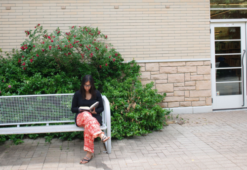 Highland Creek Branch Library outdoor bench and roses