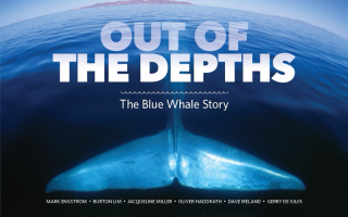 Out Of The Depths The Blue Whale Story Out Of The Depths The Blue Whale Story