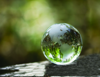 Our Fragile Planet Program Series Image