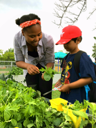 Janelle identifying a plant in a school garden
