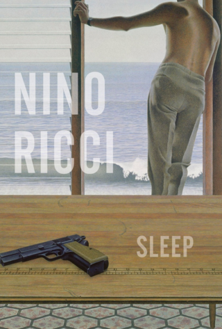 Nino Ricci