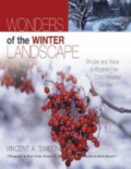 Wonders of the winter landscape