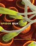 Spider silk Spider silk