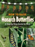 How to Raise Monarch Butterflies