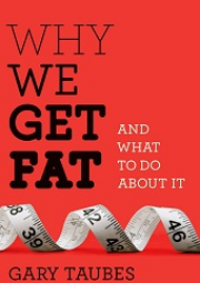 Why We Get Fat: and what to do about ir