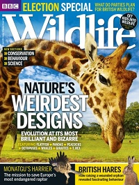 BBC Wildlife magazine, April 2015 issue