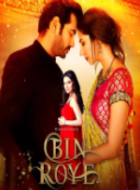 Bin roye