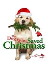 Dog saved christmas